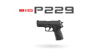 p229